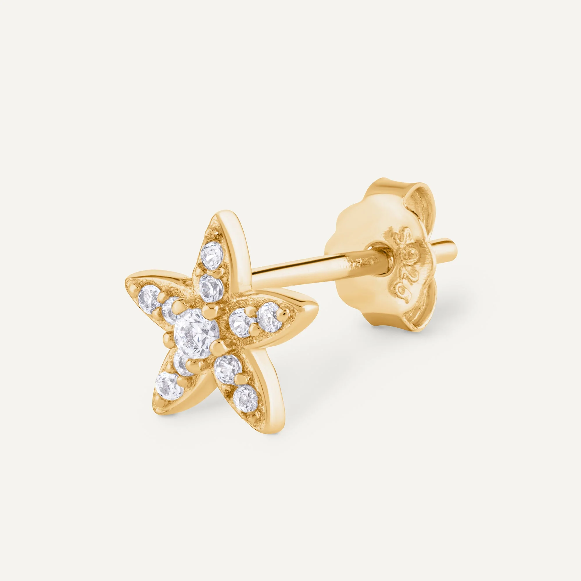 COMPOSITION FLORALE - Image 7